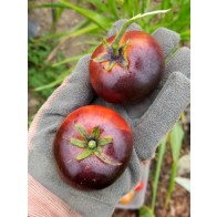 Tomato 'Indigo Apple' Seeds (Certified Organic)