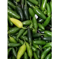 Hot Pepper ‘TAM Jalapeno’ Seeds (Certified Organic)