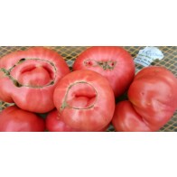 Tomato 'Purple Dog Creek' Seeds (Certified Organic)