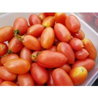 Tomato 'Maglia Rosa' Seeds (Certified Organic)