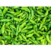 Pepper 'Shishito' Seeds (Certified Organic)