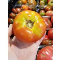 Tomato 'Cannonball' Seeds (Certified Organic)