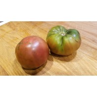 Tomato 'Black Sea Man' Plant (4