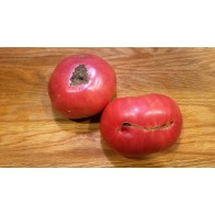 Tomato 'Red Rose' Seeds (Certified Organic)