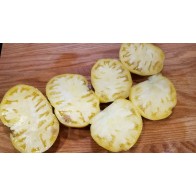 Tomato 'Great White' Seeds (Certified Organic)