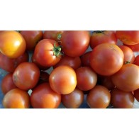 Tomato 'New Yorker' Seeds (Certified Organic)