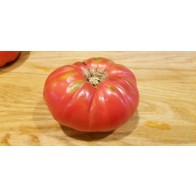 Tomato 'Seek-No-Further Love Apple' Seeds (Certified Organic)