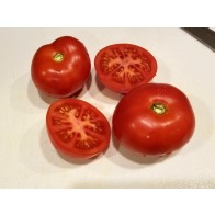 Tomato 'Beefsteak' Seeds (Certified Organic)