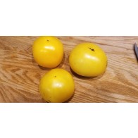 Tomato 'Lemon Boy F2' Seeds (Certified Organic)