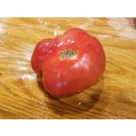 Tomato 'Lil's Favorite' Seeds (Certified Organic)