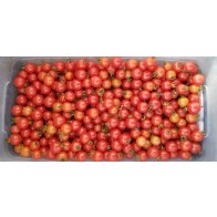 Tomato 'Matt's Wild Cherry' Seeds (Certified Organic)