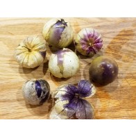 Tomatillo 'Purple' Seeds (Certified Organic)