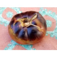 Tomato 'Black Beauty' Seeds (Certified Organic)