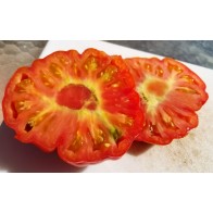 Tomato 'Mystery Weirdo' Seeds (Certified Organic)