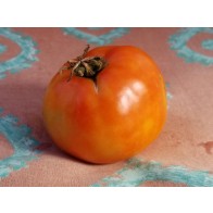Tomato 'Oregon Spring' Seeds (Certified Organic)