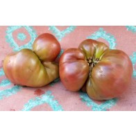 Tomato 'BKX' AKA 'Black Krim Potato Leaf' Seeds (Certified Organic)