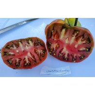 Tomato 'Cherokee Carbon F2' (Heirloom Marriage) Seeds (Certified Organic)