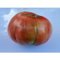 Tomato 'Pruden's Purple' Seeds (Certified Organic)