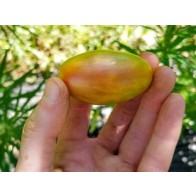 Tomato 'Lucky Tiger' Seeds (Certified Organic)
