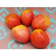 Tomato 'Monkey Ass' Seeds (Certified Organic)