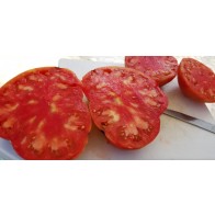 Tomato 'Flathead Monster Pink' Seeds (Certified Organic)