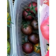Tomato 'Purple Bumble Bee' Seeds (Certified Organic)