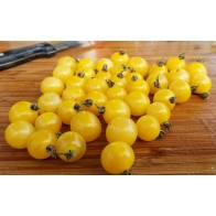 Tomato 'White Currant' Seeds (Certified Organic)