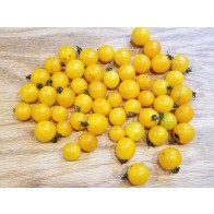 Tomato 'Gold Currant' Seeds (Certified Organic)