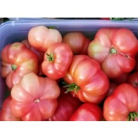 Tomato 'Yucatan Surprise' Seeds (Certified Organic)