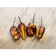 Hot Pepper ‘Pimenta Puma’ Seeds (Certified Organic)