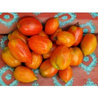 Tomato 'Speckled Roman' Seeds (Certified Organic)