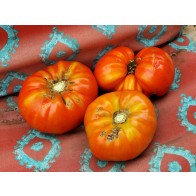 Tomato 'Big Zac' Seeds (Certified Organic)