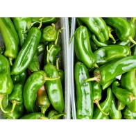 Hot Pepper 'Anaheim' Seeds (Certified Organic)