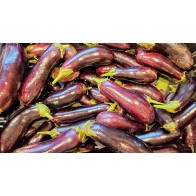 Eggplant ‘Diamond’ Seeds (Certified Organic)
