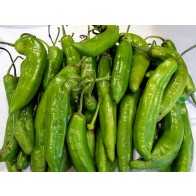 Hot Pepper ‘Aji Amarillo’ Seeds (Certified Organic)