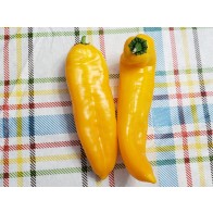 Pepper 'Super Sweet Giant Yellow' Seeds (Certified Organic)