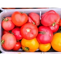 Tomato 'Eva Purple Ball' Seeds (Certified Organic)