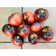 Tomato 'Sgt. Pepper's' Seeds (Certified Organic)