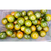 Tomato 'Evil Olive' Seeds (Certified Organic)