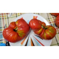 Tomato 'Cuore de Toro Beefsteak Cross' AKA 'Bull's Heart' Seeds (Certified Organic)