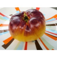 Tomato 'Sart Roloise Yellow Strain' Seeds (Certified Organic)