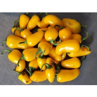 Hot Pepper 'NuMex Lemon Spice Jalapeno' Seeds (Certified Organic)