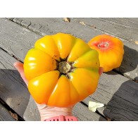 Tomato 'Armenian' Seeds (Certified Organic)
