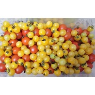Tomato 'Fritz Ackerman Cross' Seeds (Certified Organic)