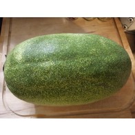 Watermelon 'Charleston Gray' Seeds (Certified Organic)