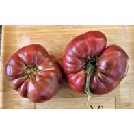 Dwarf Tomato 'Black Angus' Seeds (Certified Organic)