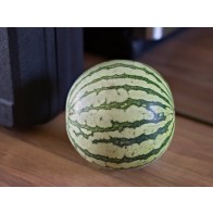 Watermelon 'Early Moonbeam' Seeds (Certified Organic)