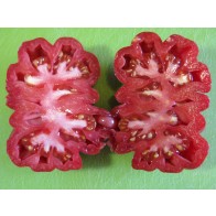 Tomato 'Pink Accordion' Seeds (Certified Organic)