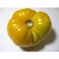 Tomato 'Yellow Brandywine' Seeds (Certified Organic)