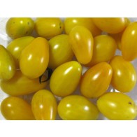 Tomato 'Chang Li' Seeds (Certified Organic)
